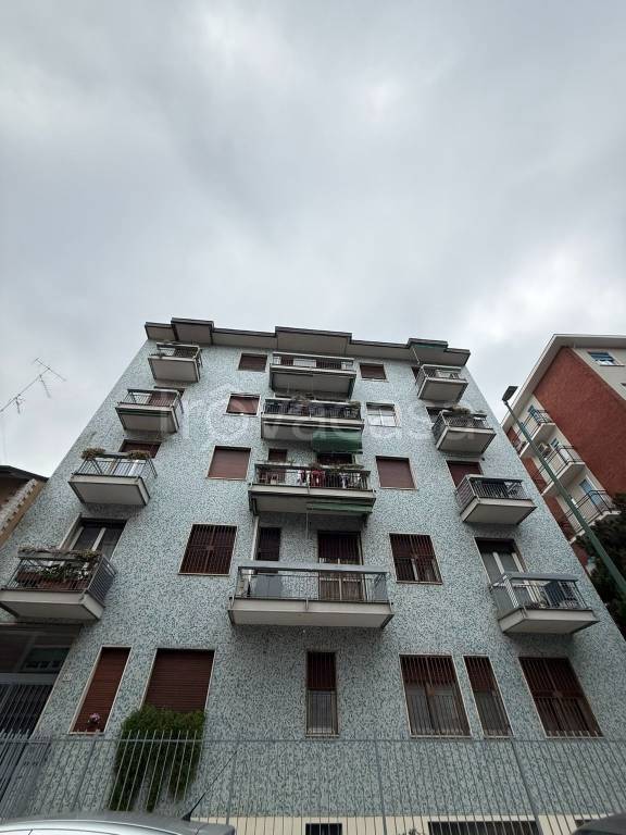 immagine annuncio 1 di 4