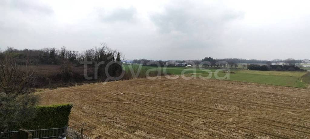 immagine annuncio 11 di 12