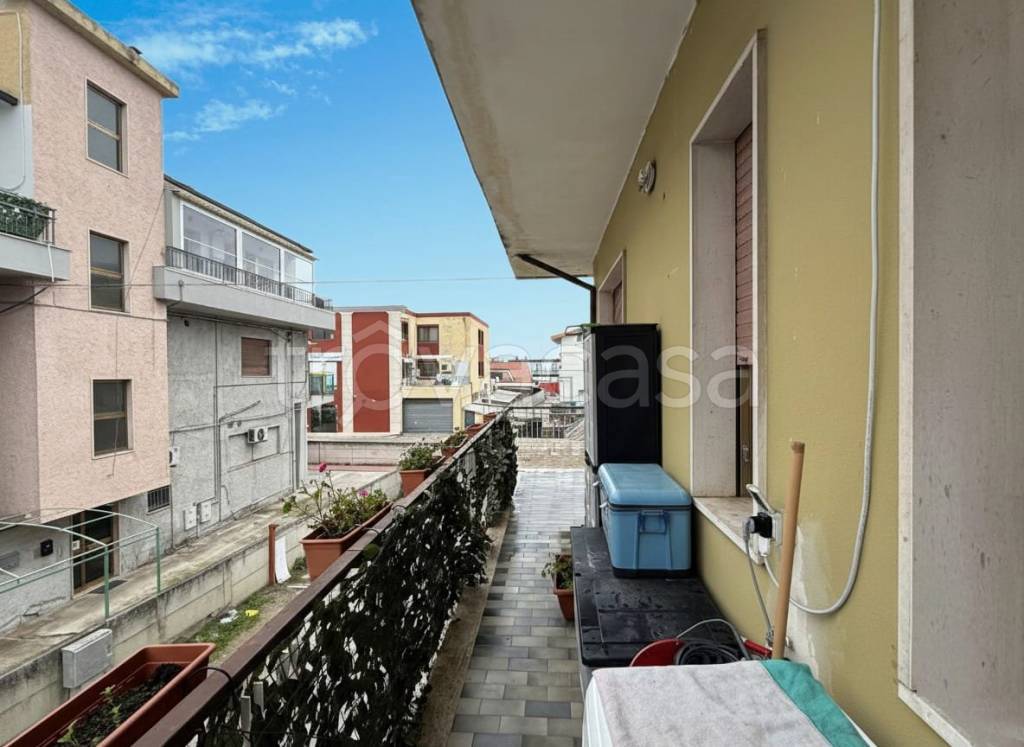 immagine annuncio 12 di 14