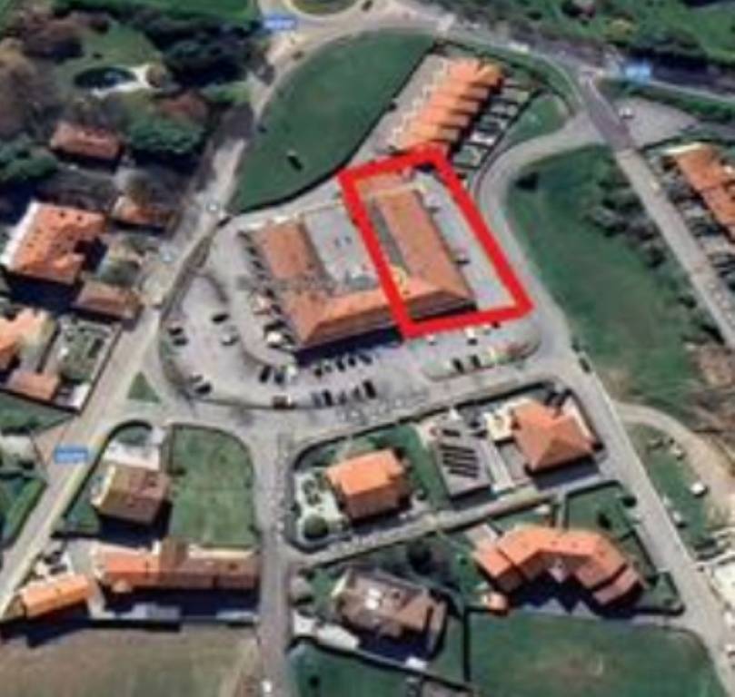 immagine annuncio 9 di 14