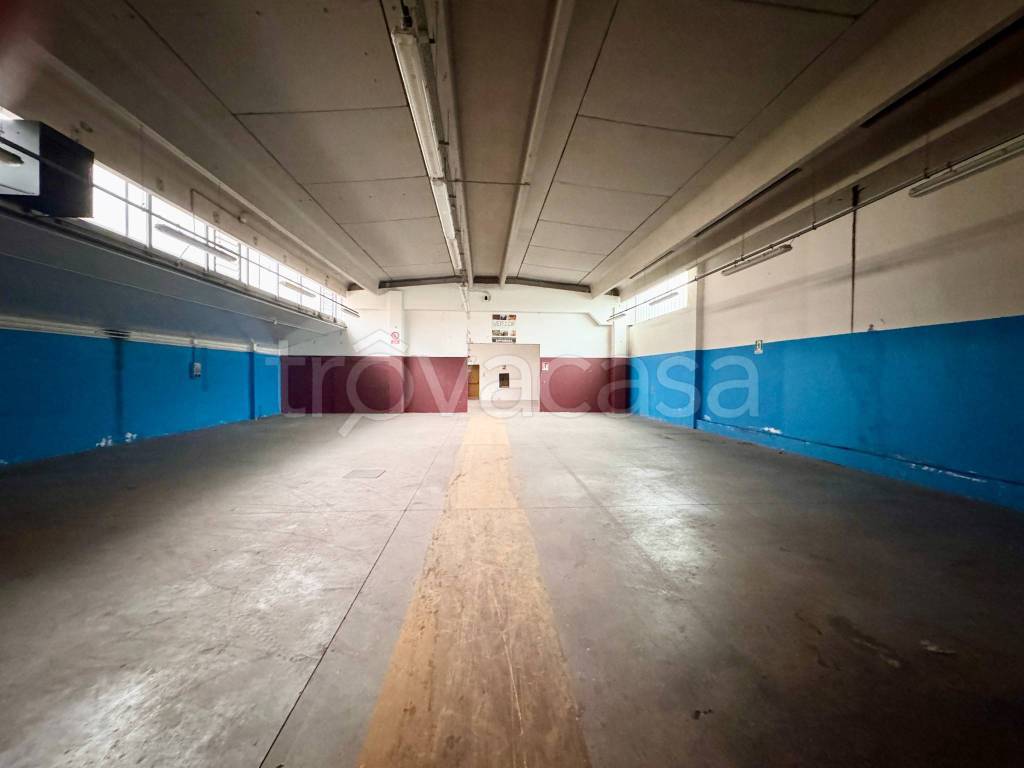 immagine annuncio 5 di 15