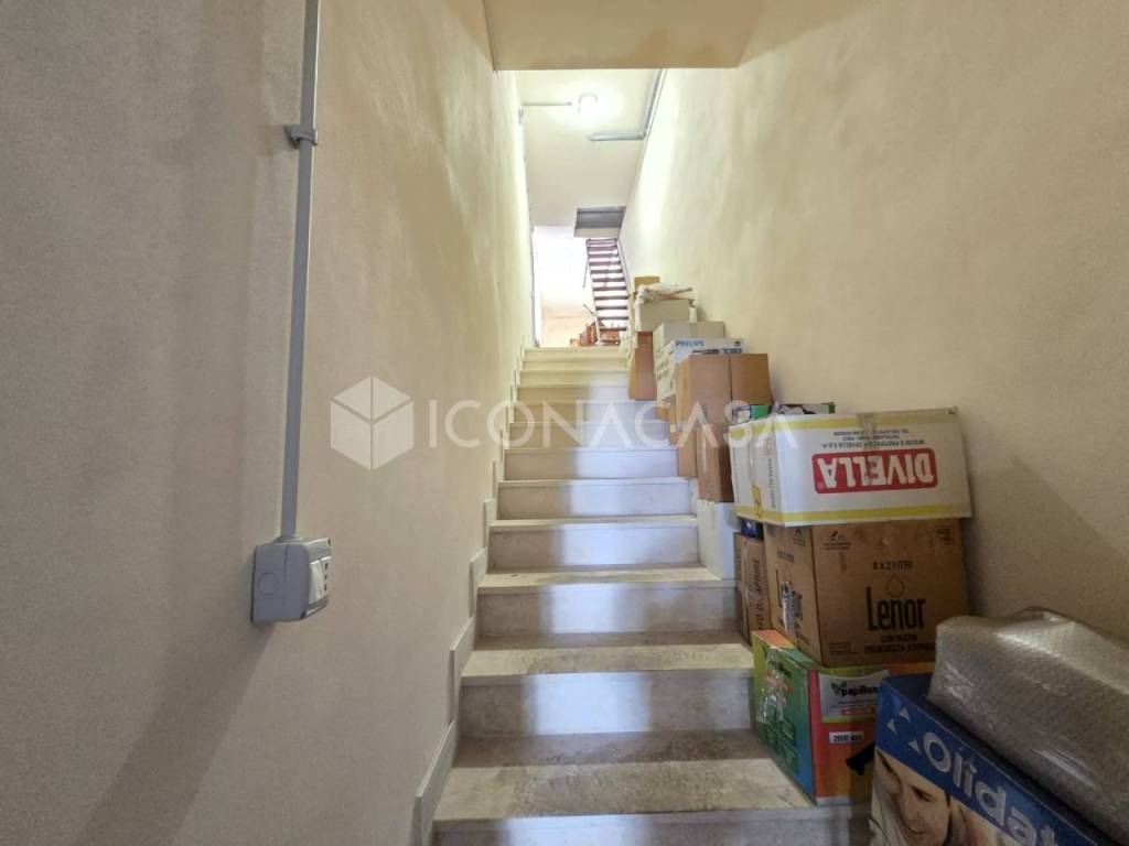 immagine annuncio 3 di 14