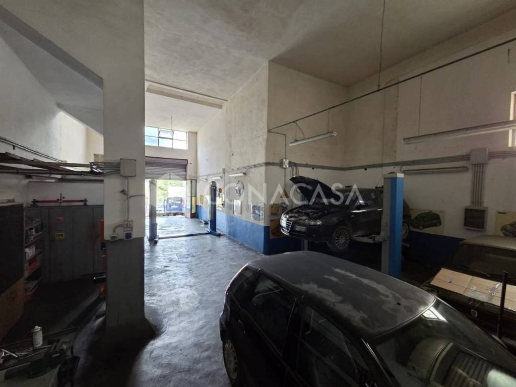 immagine annuncio 8 di 14