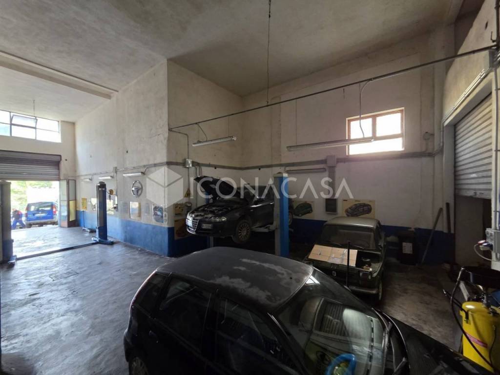 immagine annuncio 9 di 14