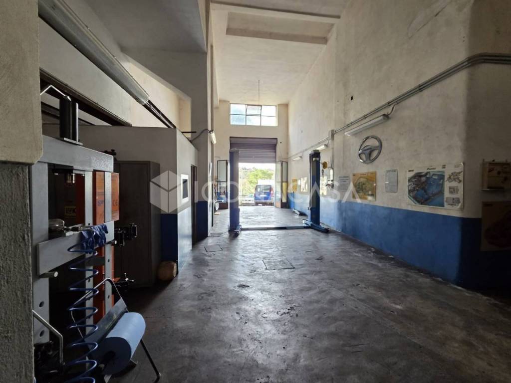 immagine annuncio 10 di 14