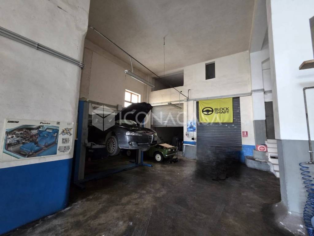 immagine annuncio 12 di 14