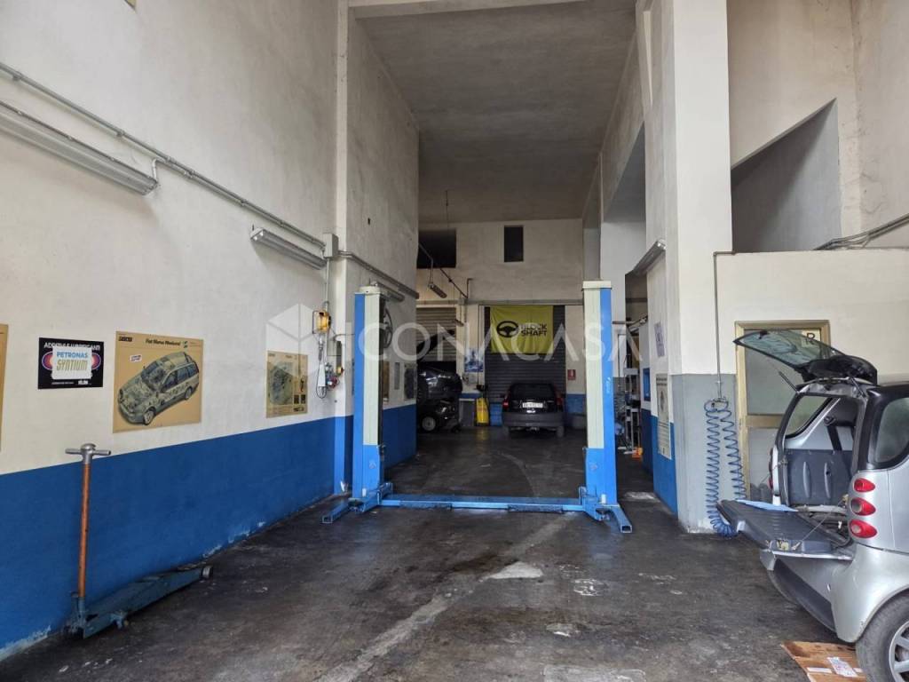 immagine annuncio 13 di 14