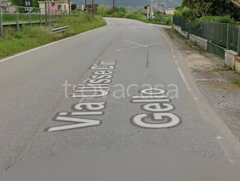 immagine annuncio 3 di 14