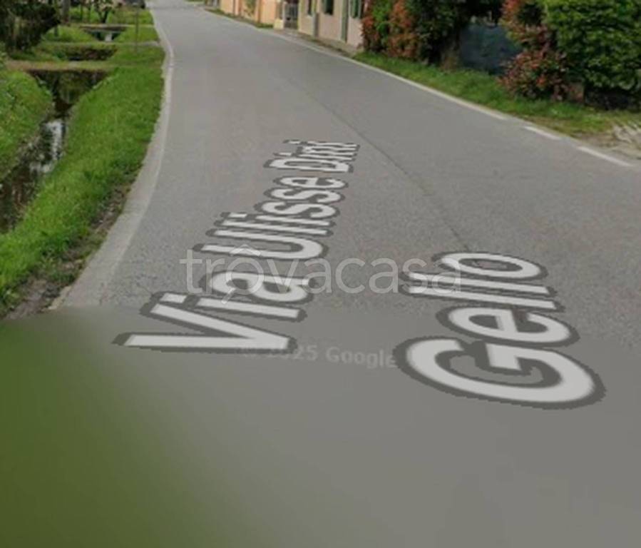 immagine annuncio 5 di 14