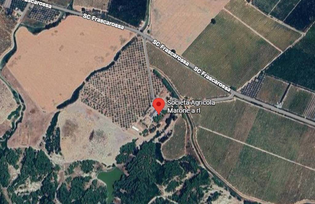 immagine annuncio 7 di 14