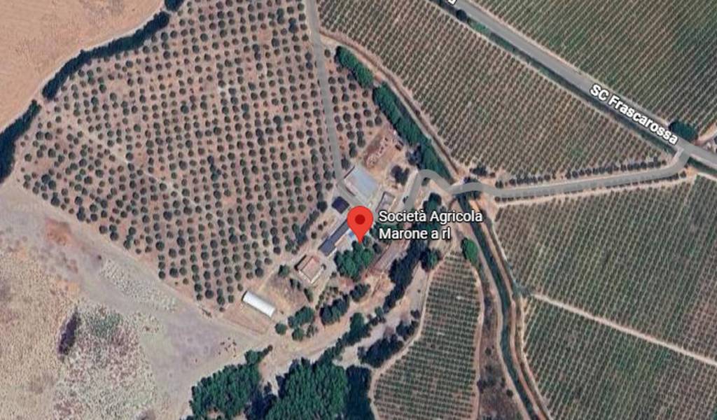 immagine annuncio 8 di 14