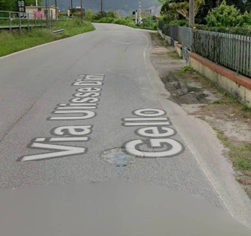 immagine annuncio 11 di 14