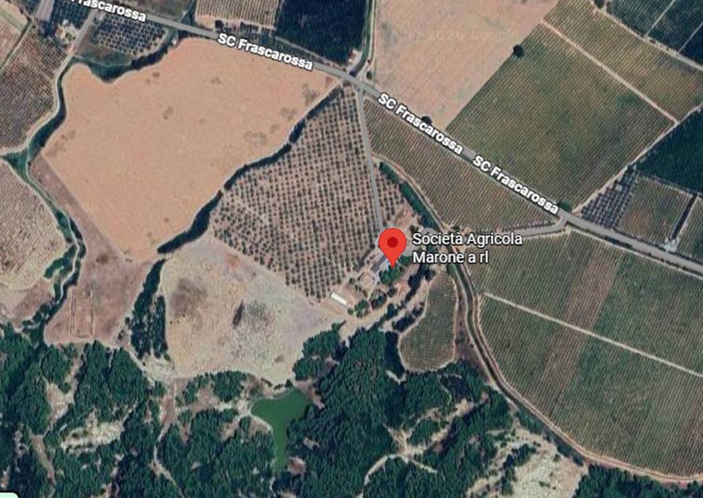 immagine annuncio 9 di 14