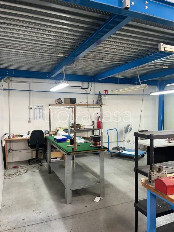 immagine annuncio 5 di 15