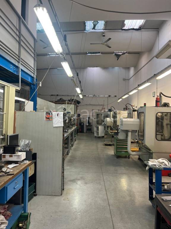 immagine annuncio 6 di 15