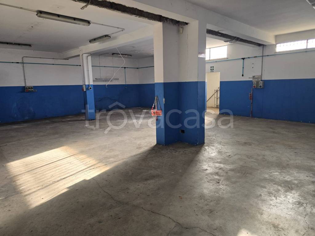 immagine annuncio 9 di 14