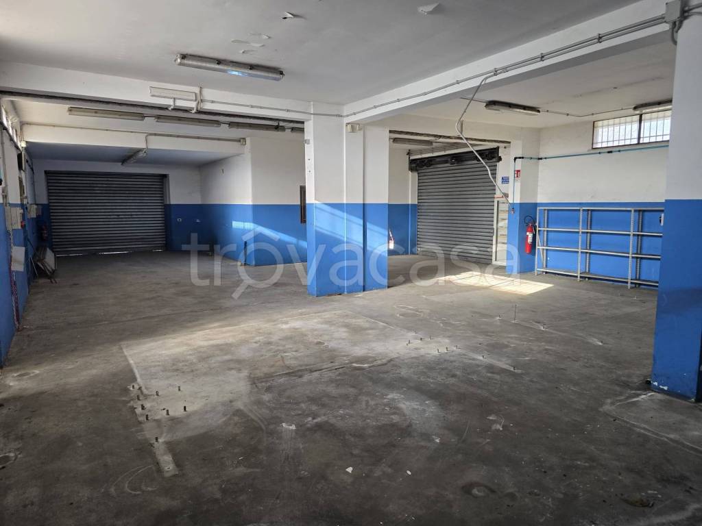 immagine annuncio 10 di 14