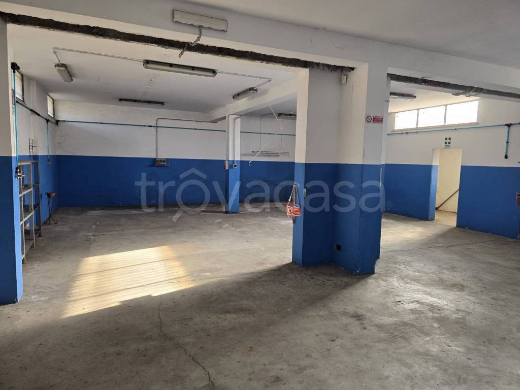 immagine annuncio 11 di 14