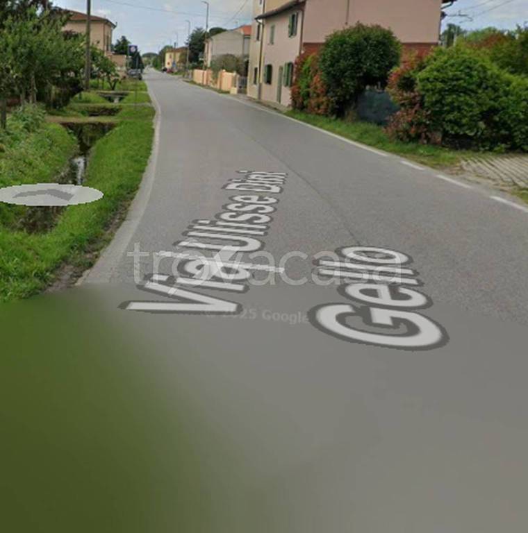 immagine annuncio 5 di 11