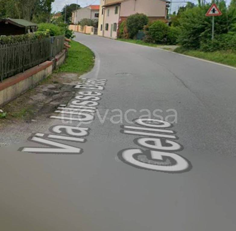 immagine annuncio 7 di 11