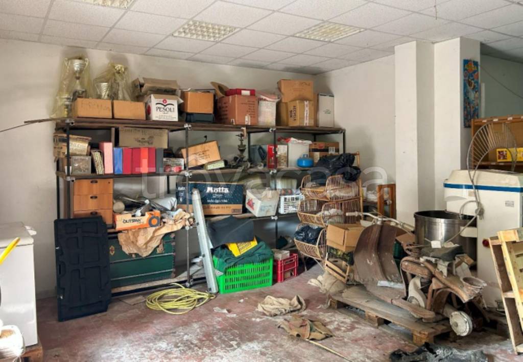 immagine annuncio 2 di 12