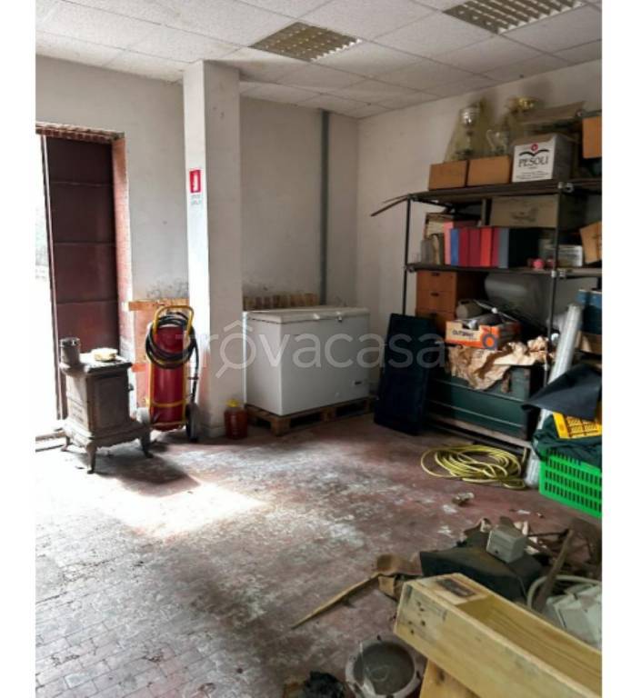 immagine annuncio 3 di 12