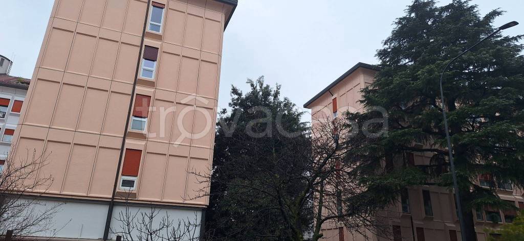 immagine annuncio 4 di 7