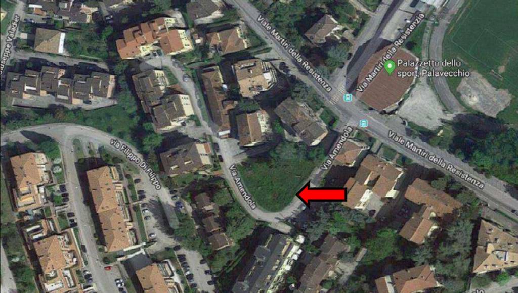 immagine annuncio 1 di 11