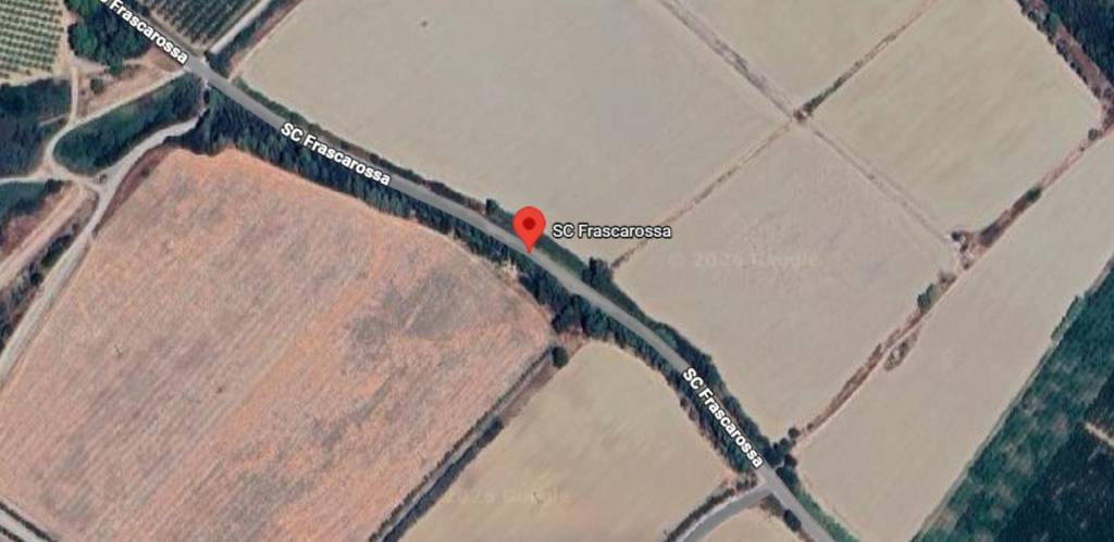 immagine annuncio 5 di 13