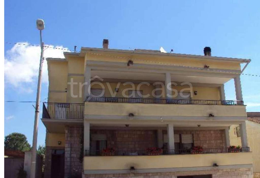 immagine annuncio 11 di 13