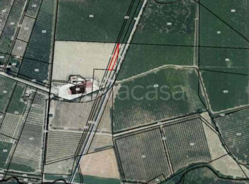 immagine annuncio 9 di 13