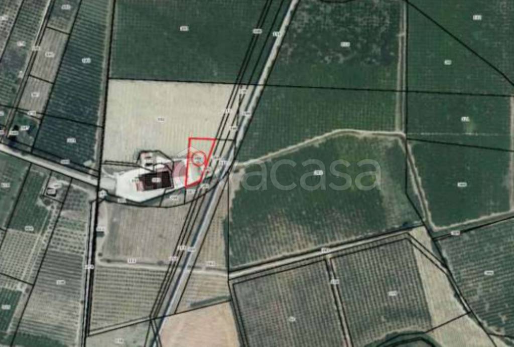 immagine annuncio 10 di 13