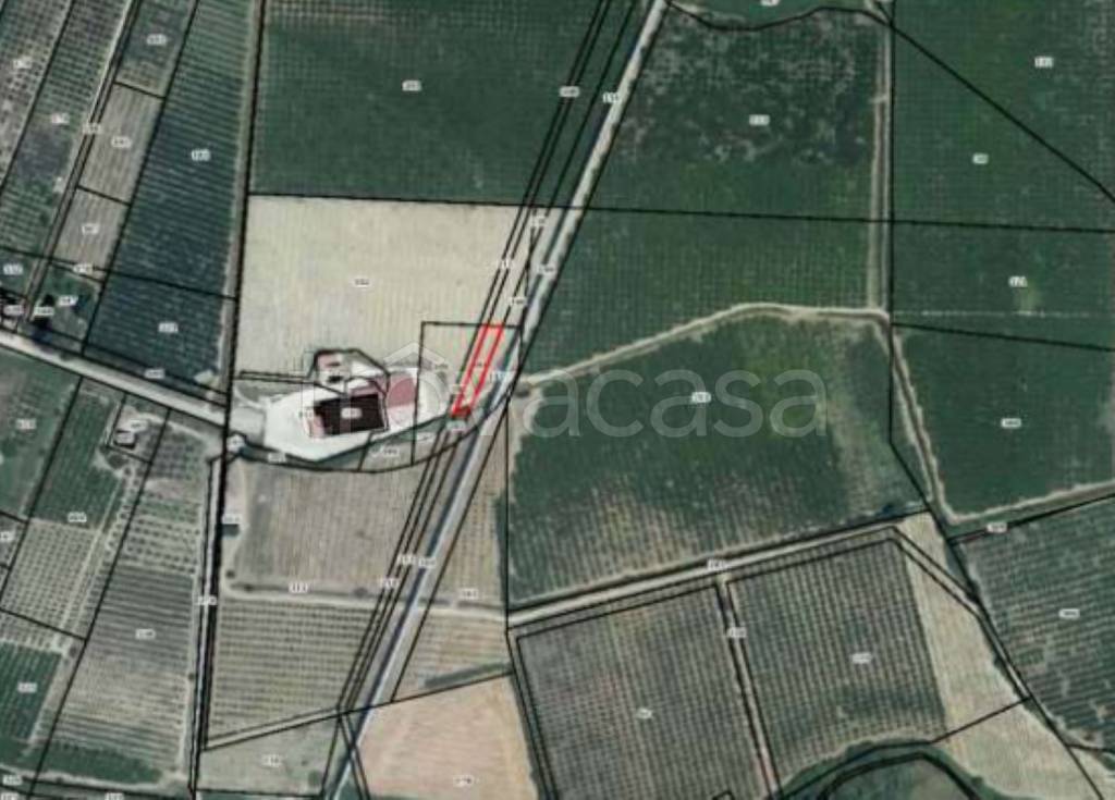 immagine annuncio 11 di 13