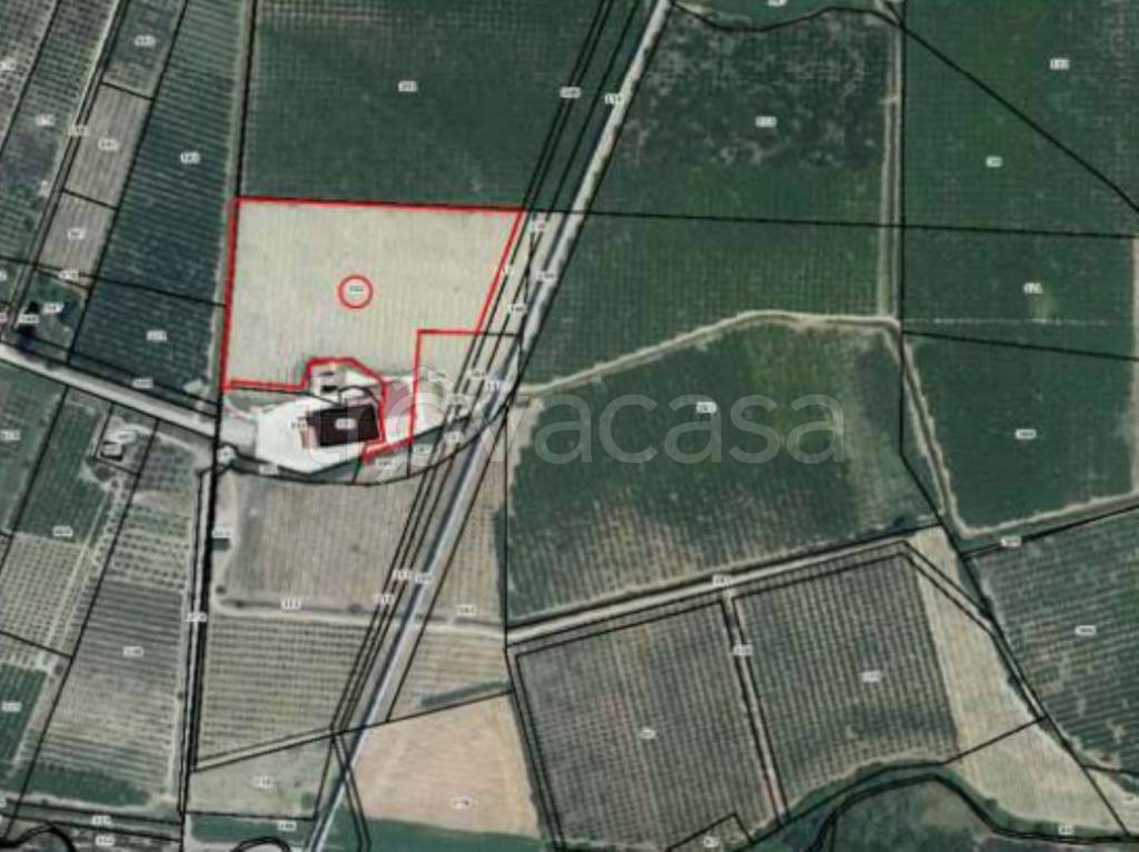 immagine annuncio 12 di 13