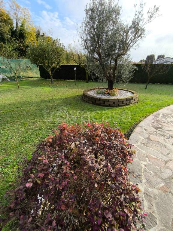 immagine annuncio 2 di 9