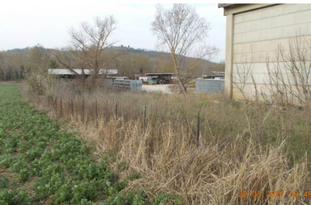 immagine annuncio 5 di 11