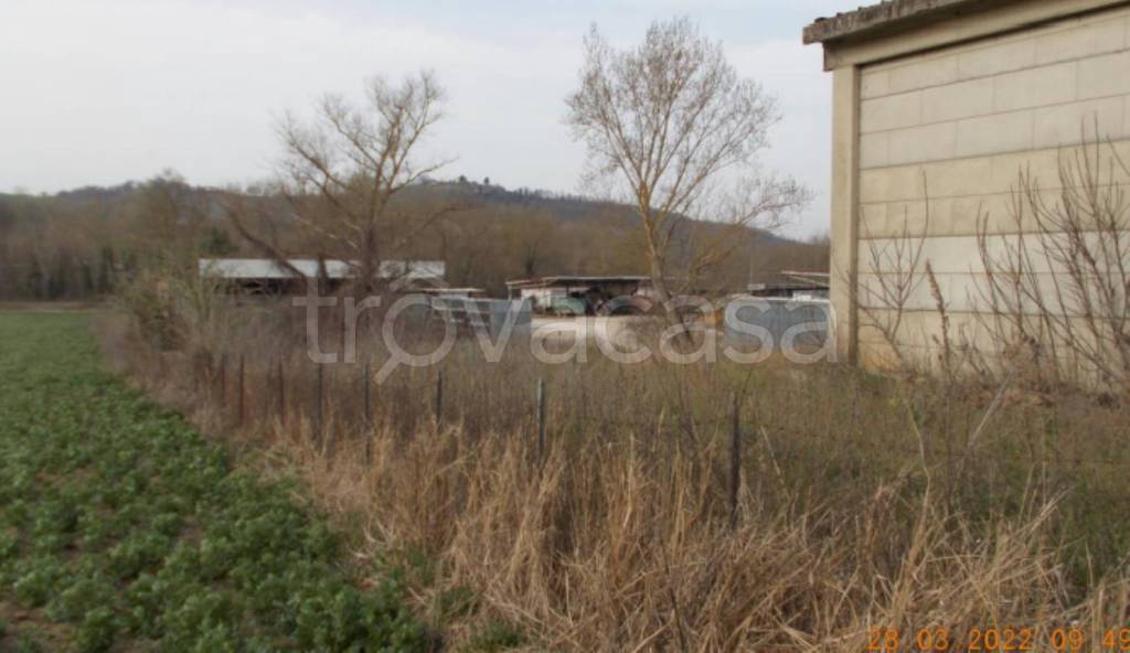 immagine annuncio 6 di 11