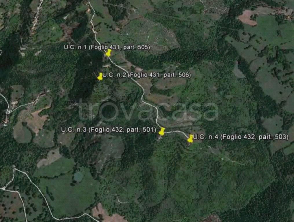 immagine annuncio 10 di 12