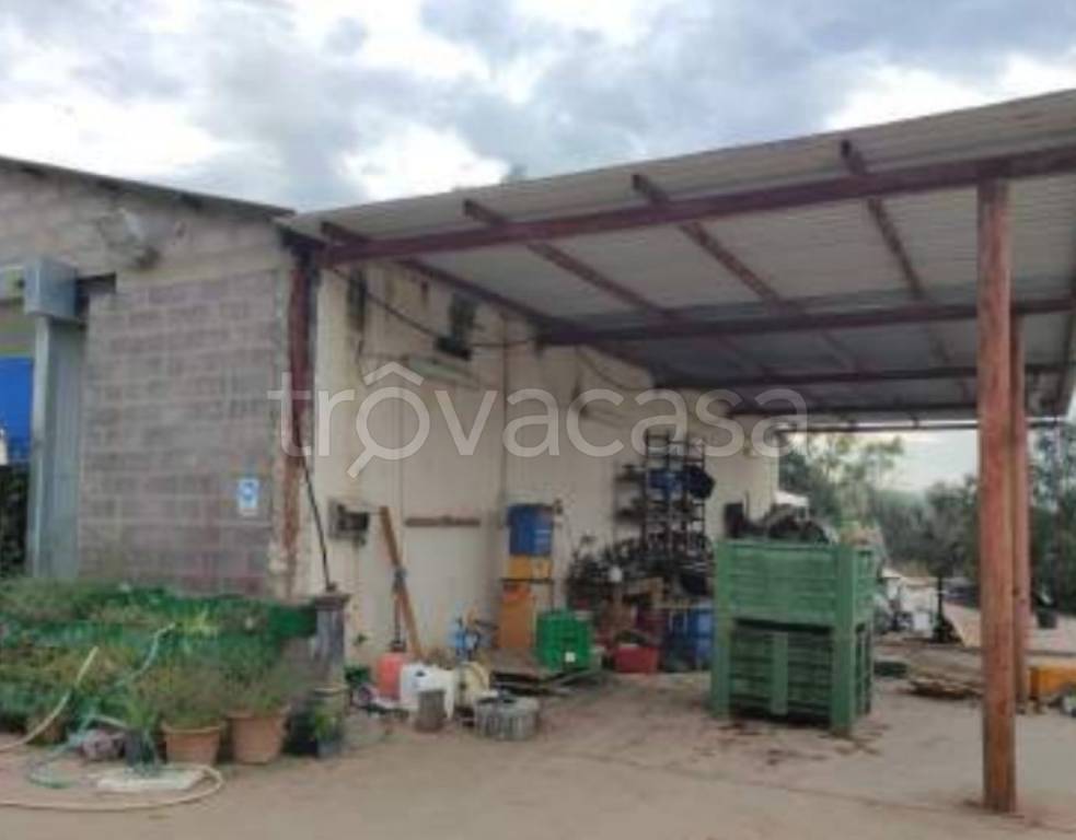 immagine annuncio 10 di 11