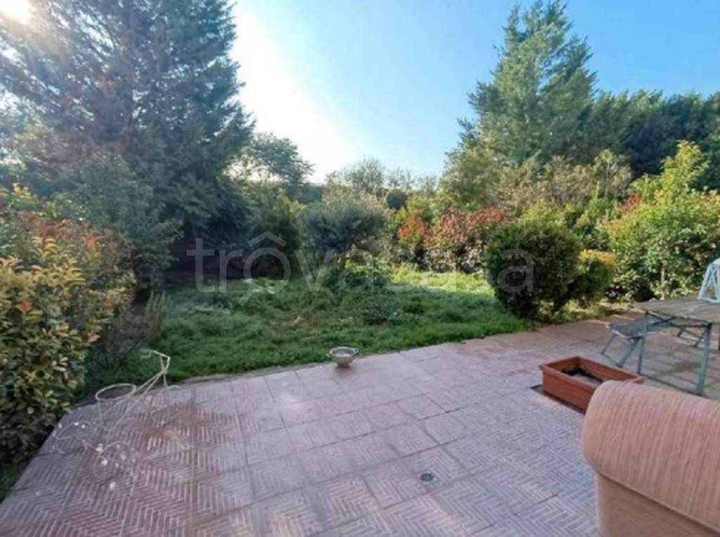 immagine annuncio 6 di 14