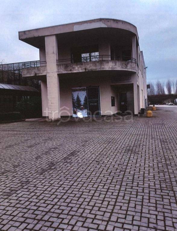 immagine annuncio 2 di 12