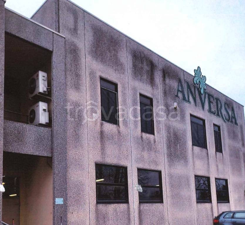 immagine annuncio 3 di 12