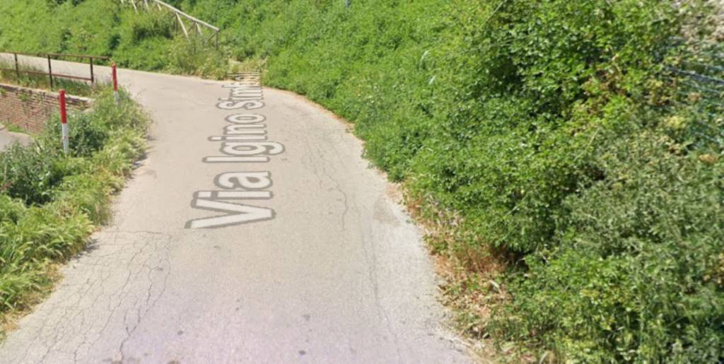 immagine annuncio 3 di 12