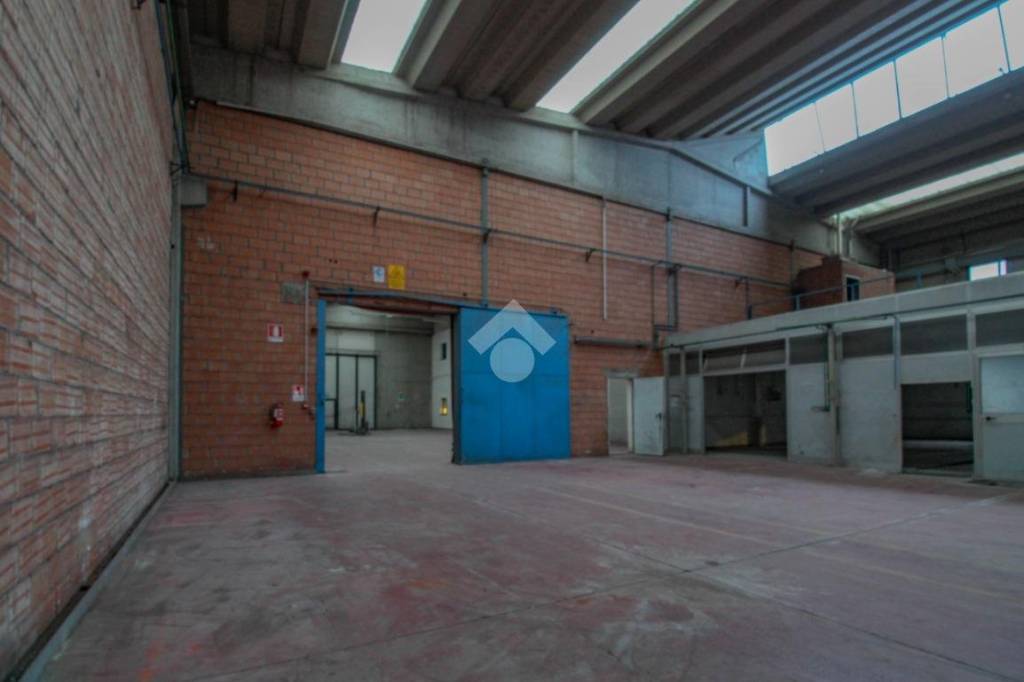 immagine annuncio 3 di 14