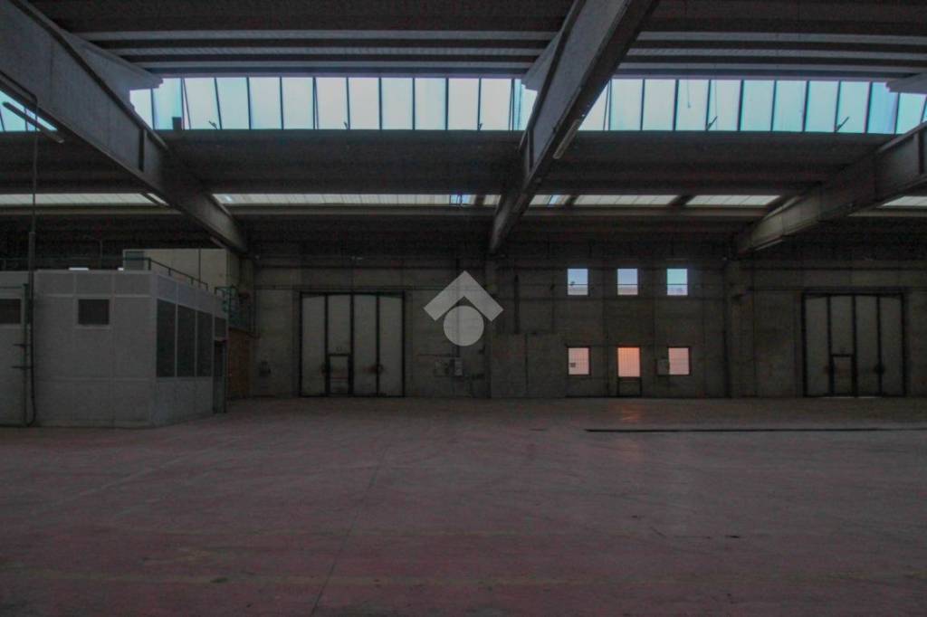 immagine annuncio 6 di 14