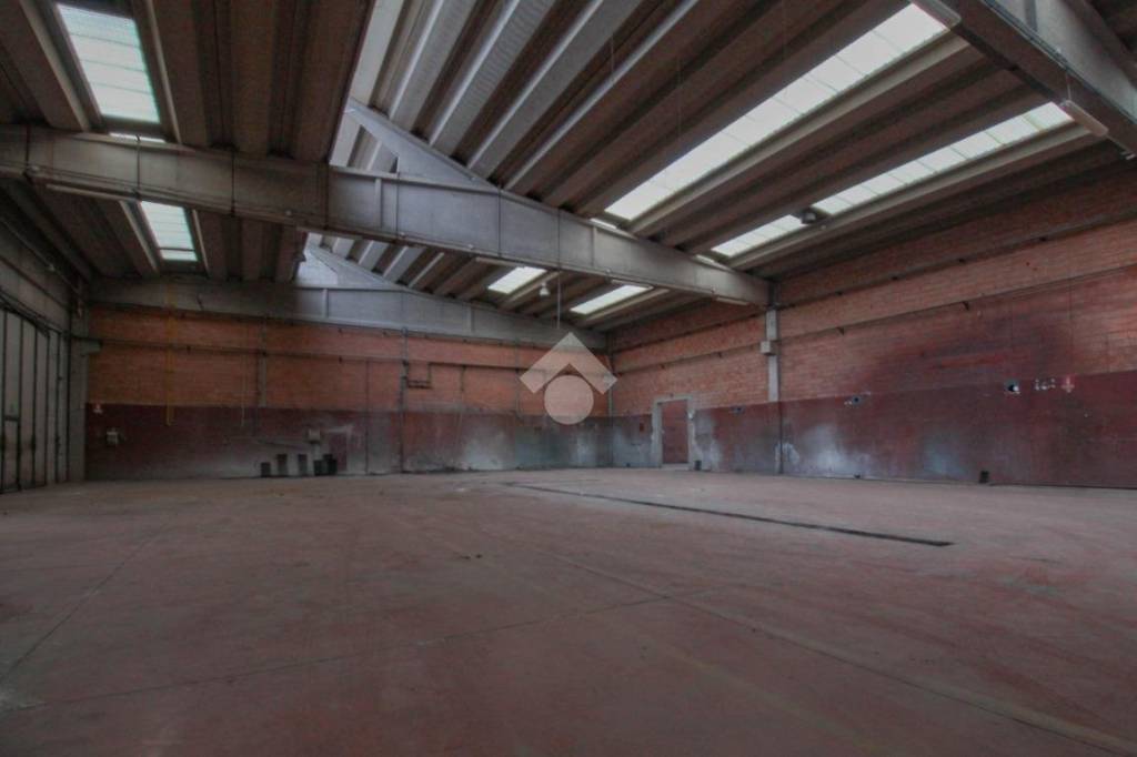 immagine annuncio 7 di 14