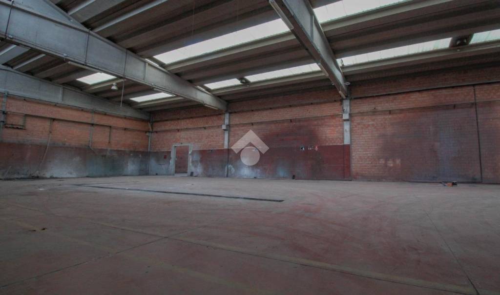 immagine annuncio 9 di 14