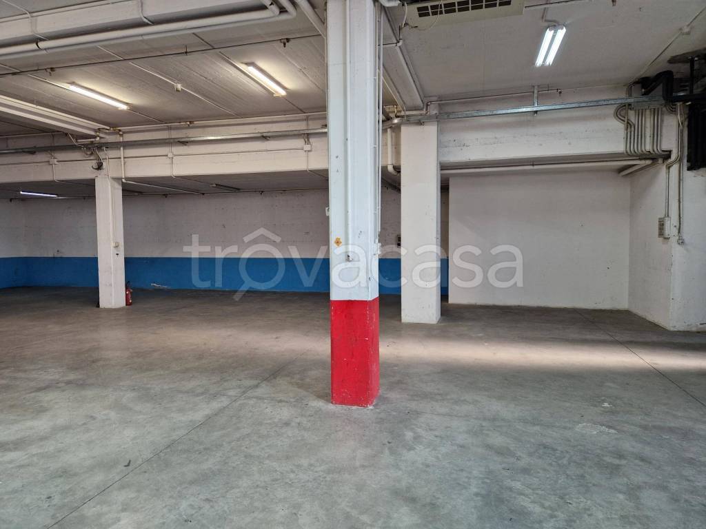 immagine annuncio 4 di 7