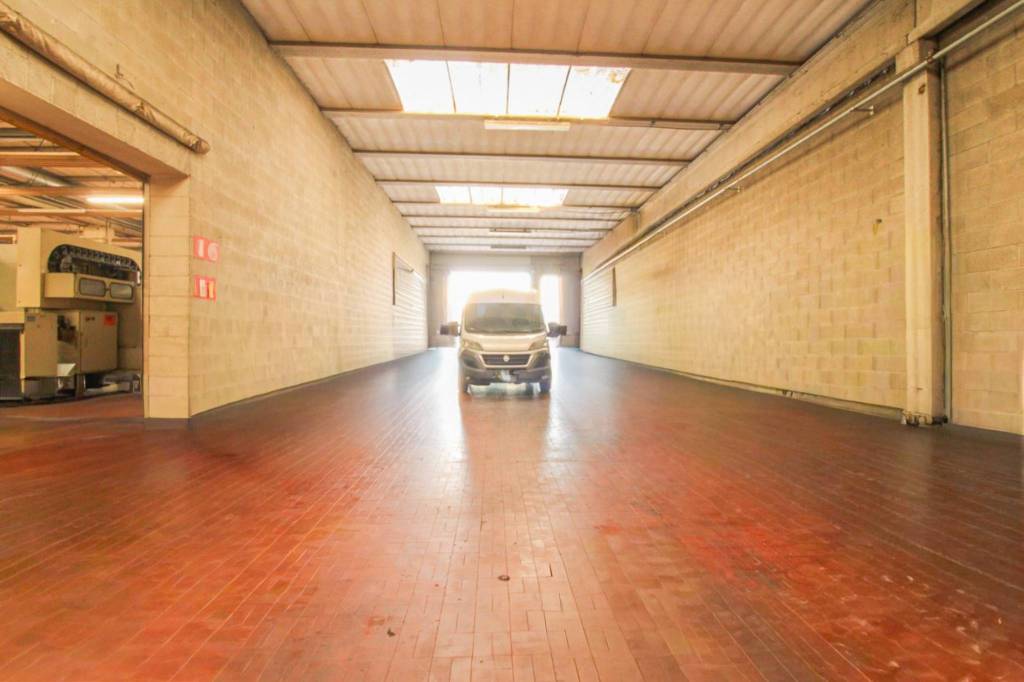 immagine annuncio 9 di 15