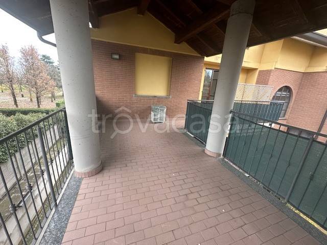 immagine annuncio 11 di 14